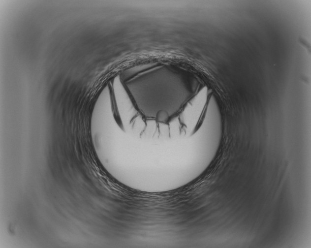 X0000100421492200806271455