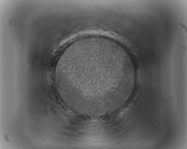 X0000100421494200806271455