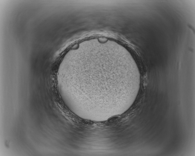 X0000100421496200806271455