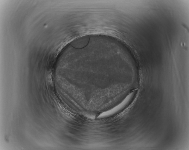 X0000100421497200806271455