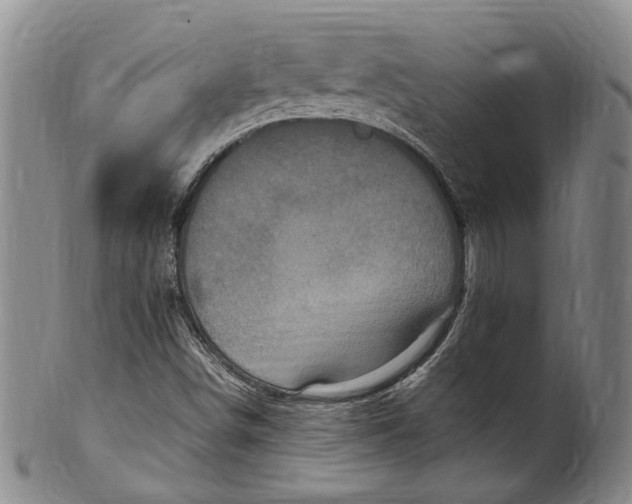 X0000100421498200806271455