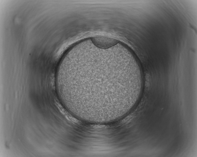 X0000100421499200806271455