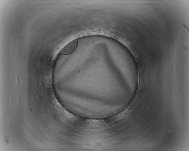 X0000100421500200806271455