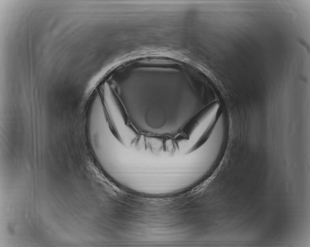 X0000100421502200806271455