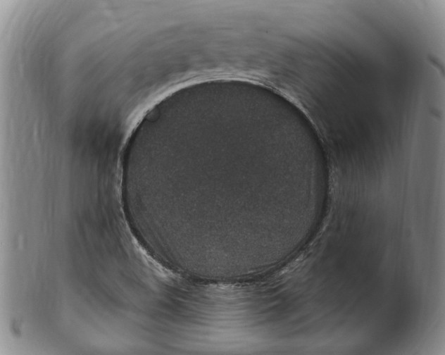 X0000100421508200806271455