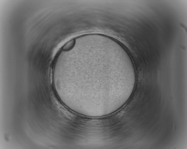 X0000100421510200806271455