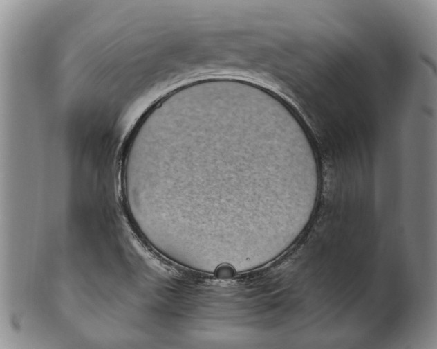 X0000100421511200806271455