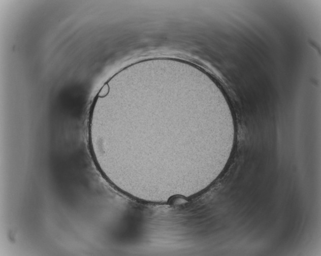X0000100421512200806271455