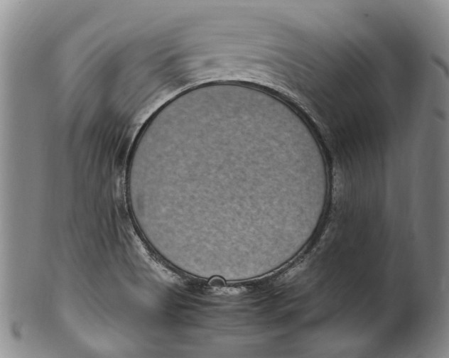 X0000100421513200806271455