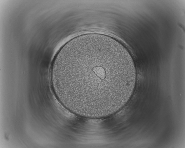 X0000100421514200806271455