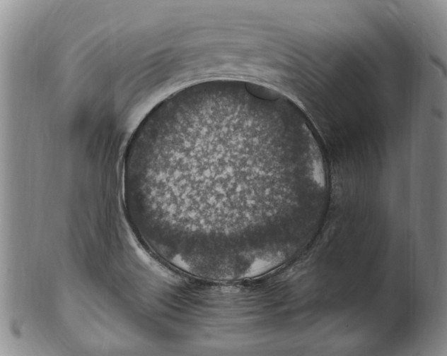 X0000100421515200806271455