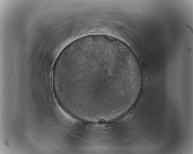 X0000100421519200806271455