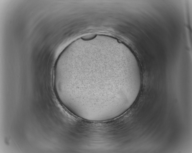 X0000100421520200806271455