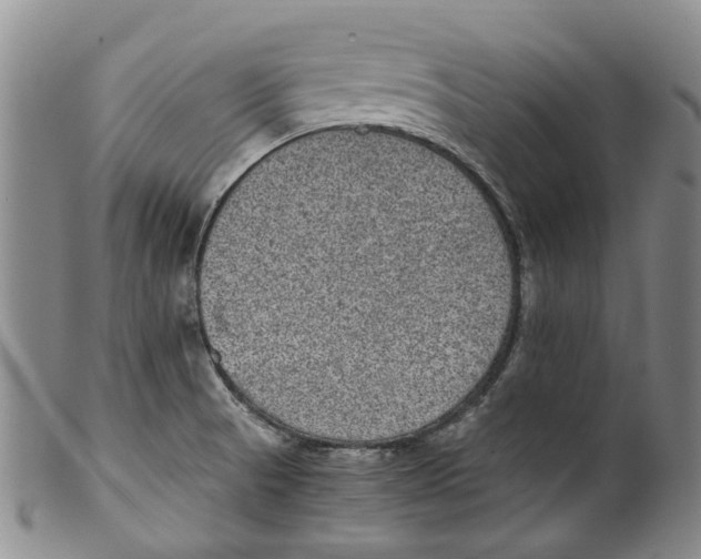 X0000100421521200806271455