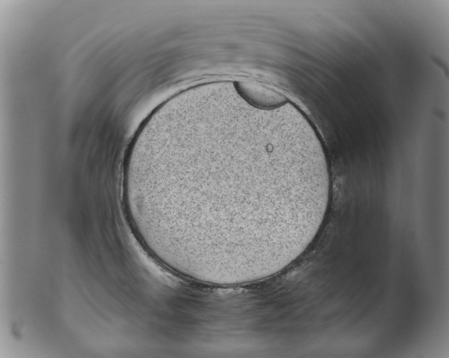 X0000100421523200806271455