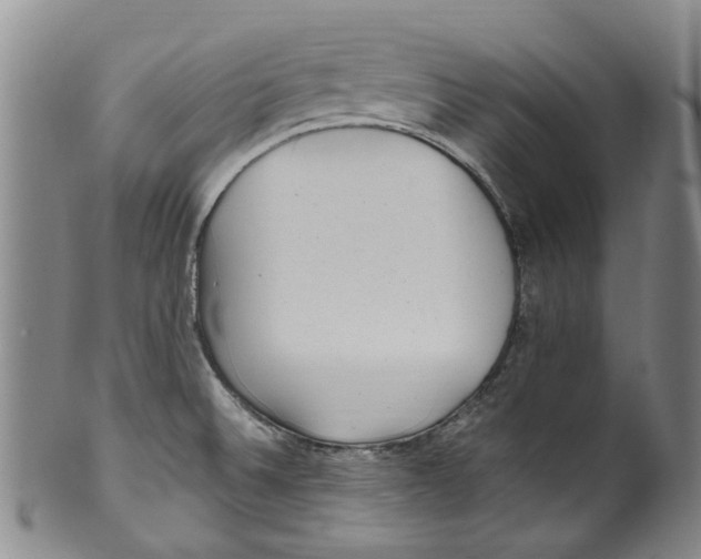 X0000100421524200806271455