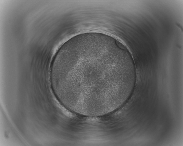 X0000100421525200806271455