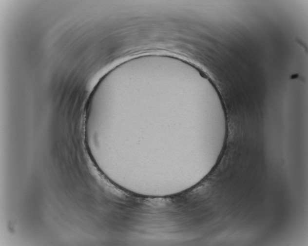 X0000100421526200806271455