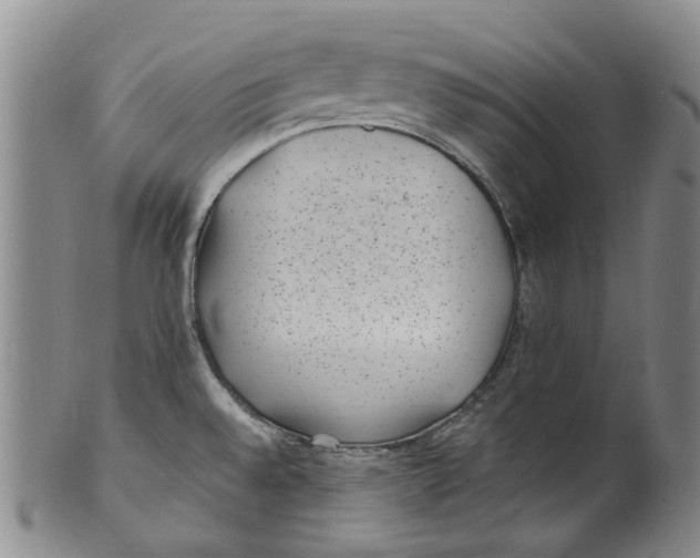 X0000100421528200806271455