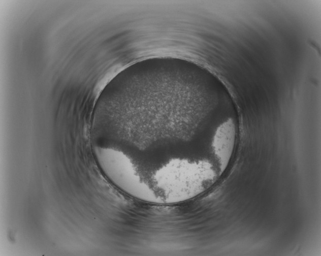 X0000100421529200806271455