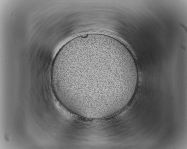 X0000100421530200806271455