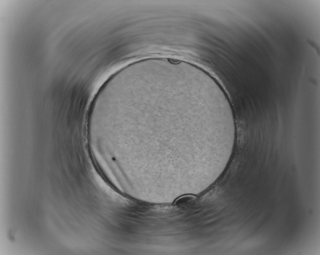X0000100421531200806271455