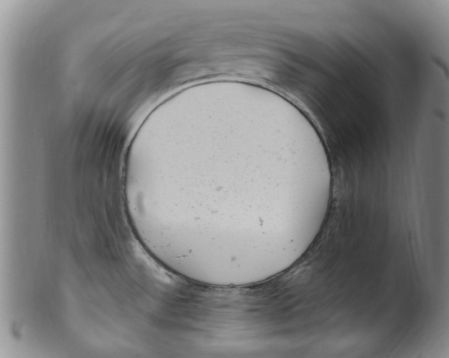 X0000100421532200806271455