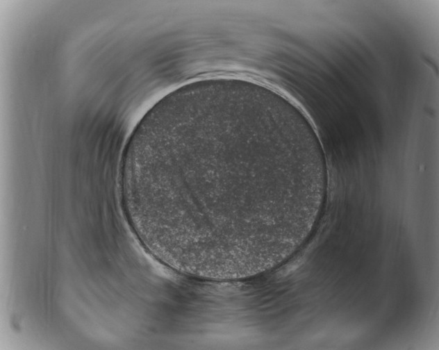 X0000100421533200806271455