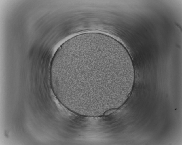 X0000100421534200806271455