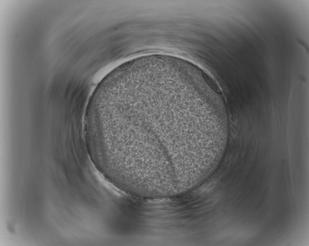 X0000100421535200806271455