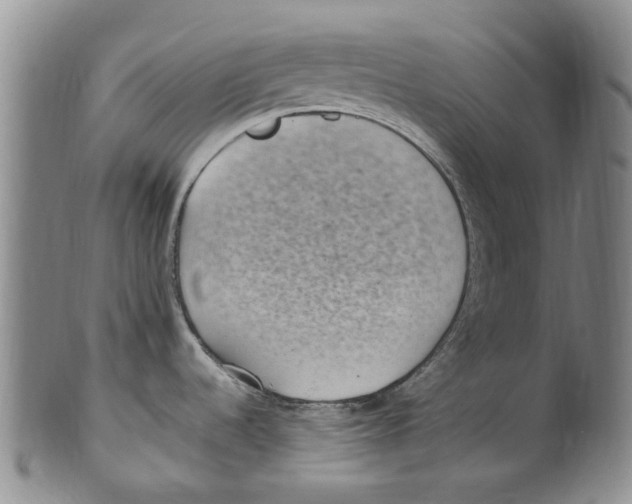X0000100421536200806271455