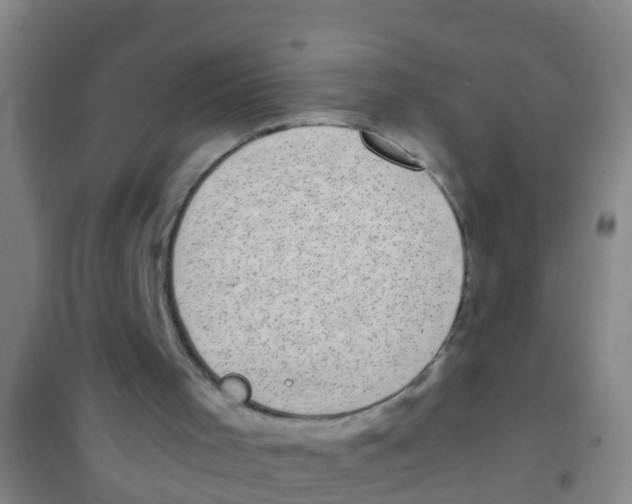 X0000100420001200807032112