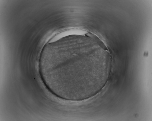 X0000100420002200807032112