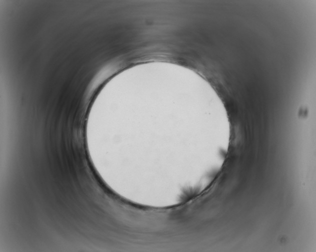 X0000100420004200807032112