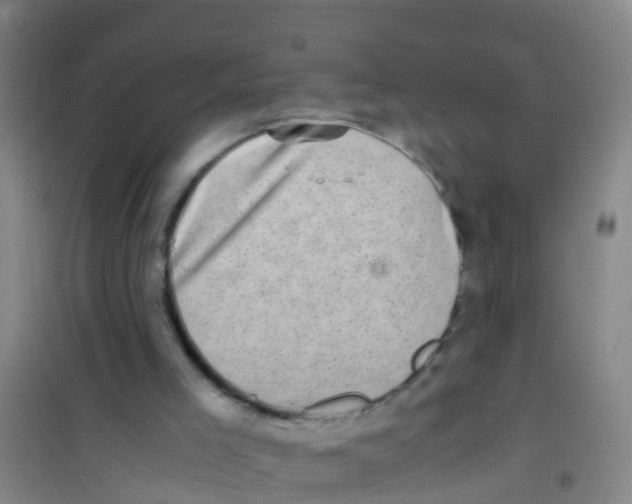 X0000100420005200807032112