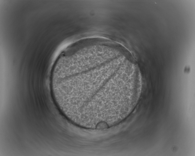 X0000100420006200807032112