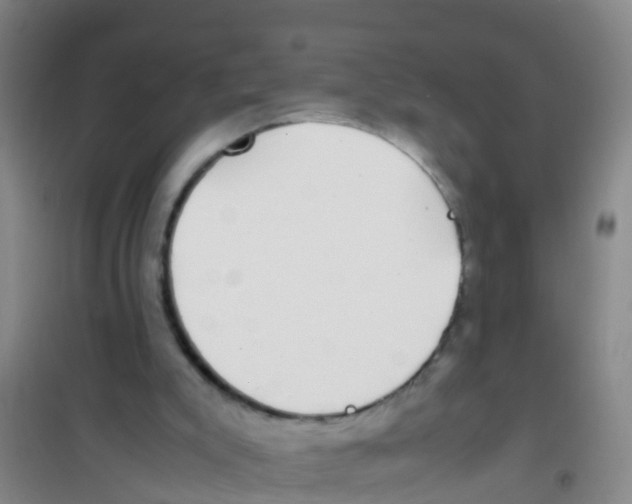 X0000100420007200807032112