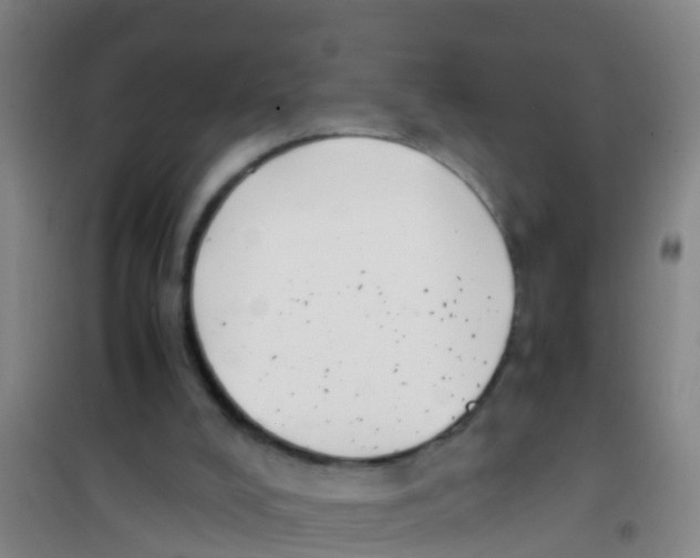 X0000100420008200807032112