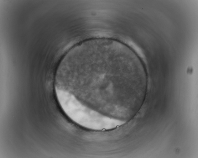 X0000100420009200807032112