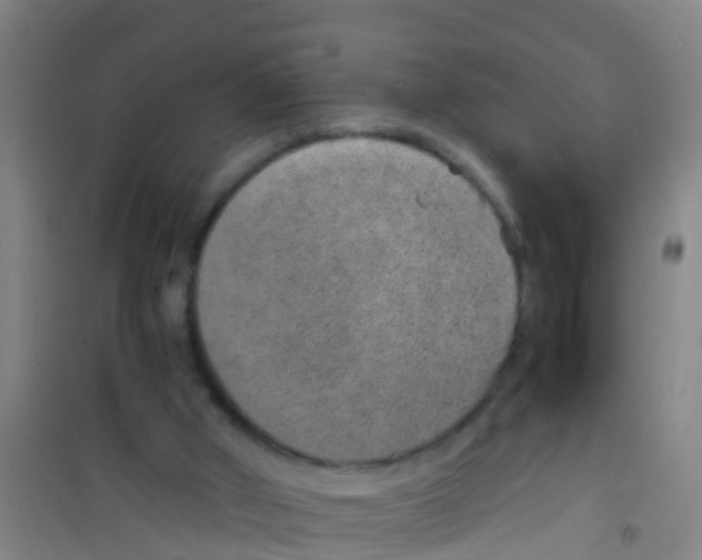 X0000100420010200807032112
