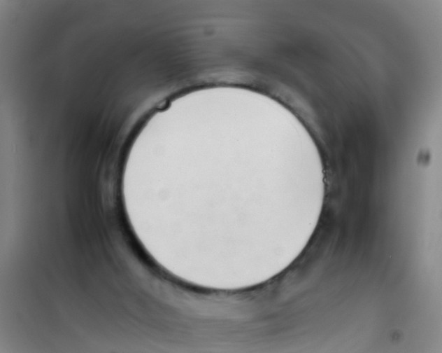 X0000100420012200807032112