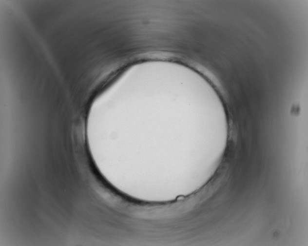 X0000100420013200807032112