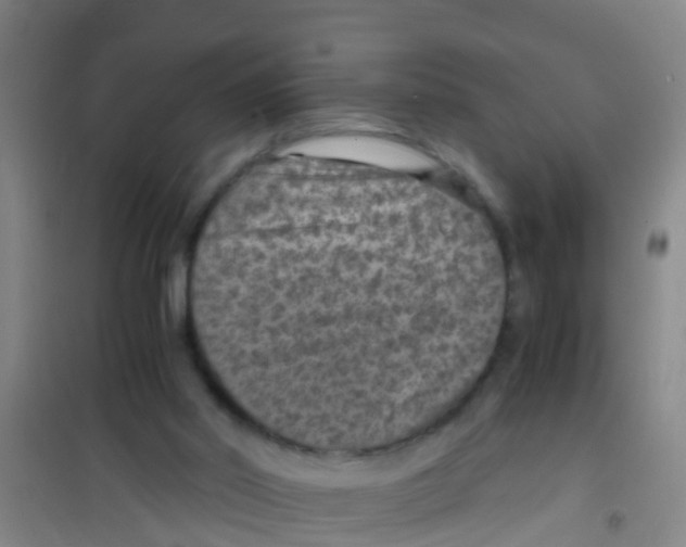 X0000100420014200807032112