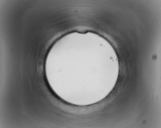 X0000100420015200807032112