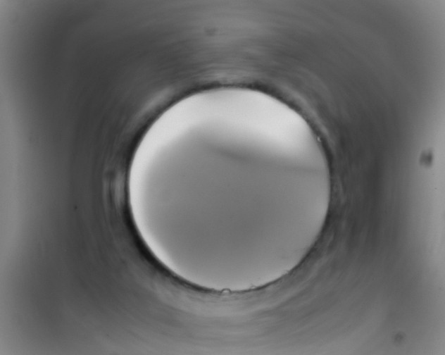 X0000100420019200807032112