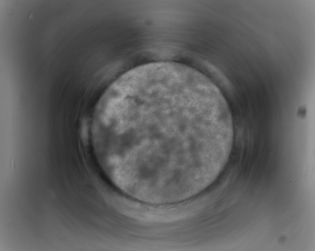 X0000100420026200807032112