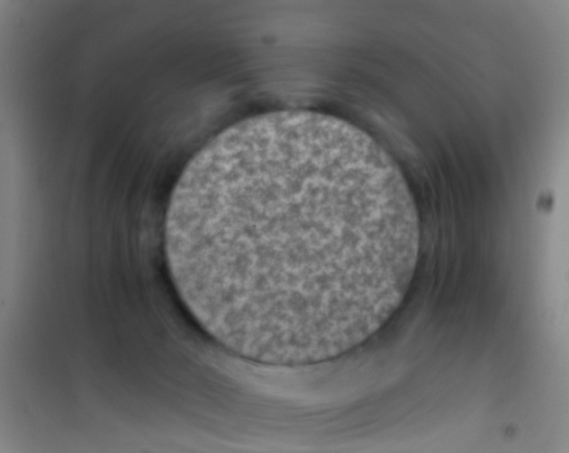 X0000100420030200807032112