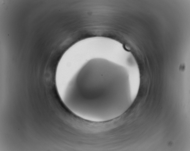 X0000100420031200807032112