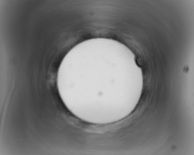 X0000100420033200807032112