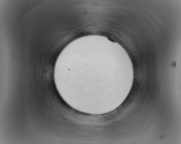 X0000100420036200807032112